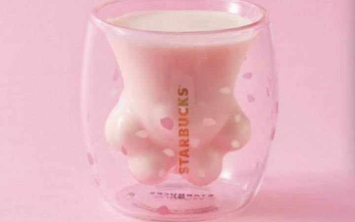 从 猫爪杯 的爆红看小宠物也有大生意 知乎