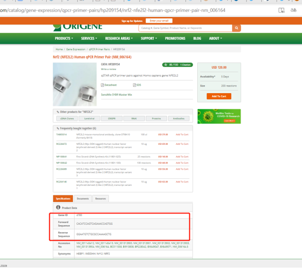 如何在网站上查找qPCR引物关于primer bank和genecard 使用入门 知乎