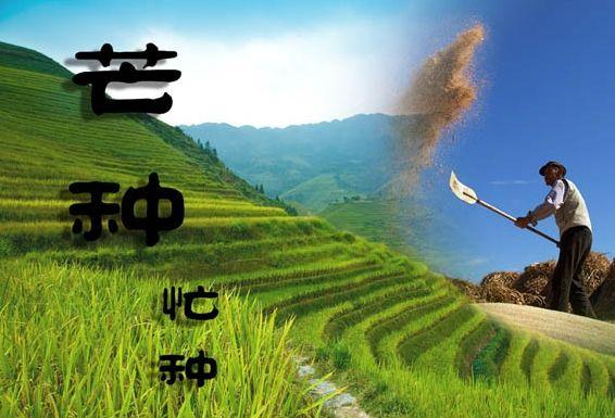v2-5be2e07cb938a9dfe8208f7ed4ffab69_1440w.jpg?source=172ae18b