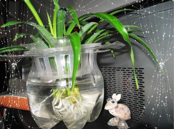 废弃的塑料瓶竟然可以做花盆 分分钟教你变成diy达人 知乎
