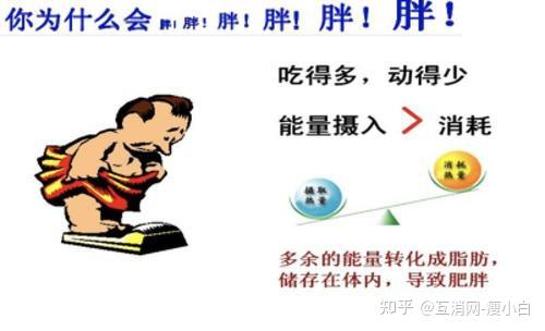 肥胖的十大危害 知乎