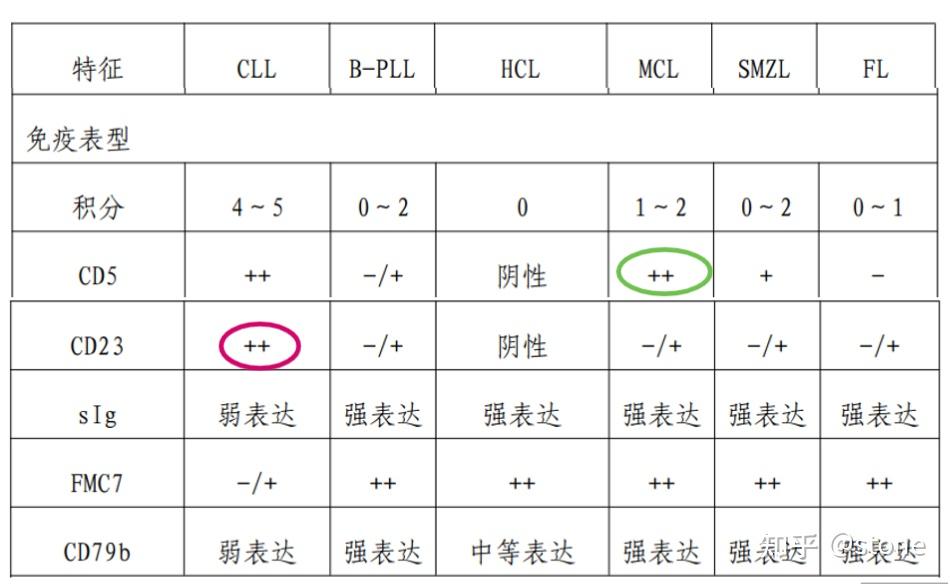 CLL/SLL - 知乎