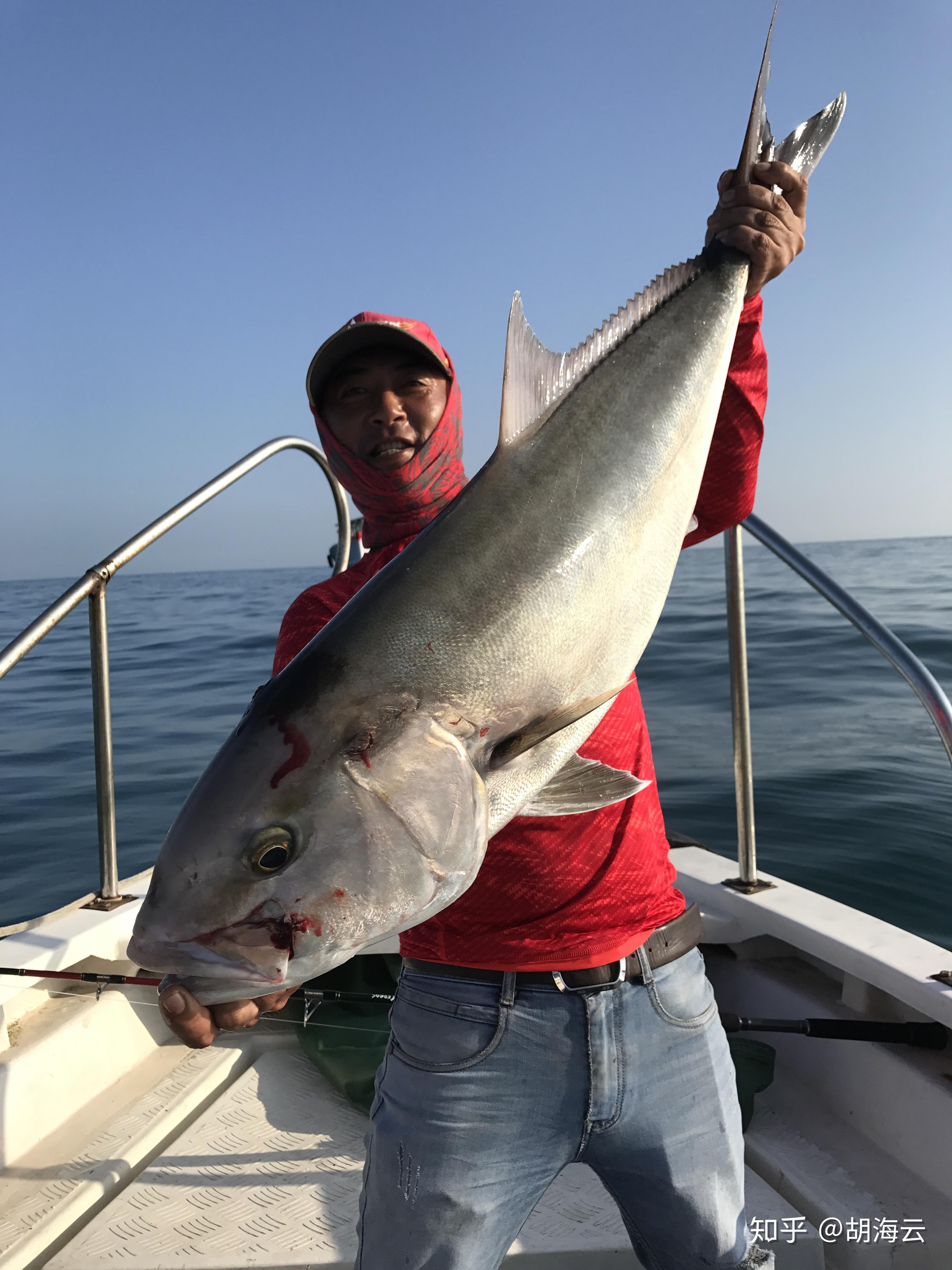 你可能还不知道不用去南油也能钓到一百多斤的大章红了