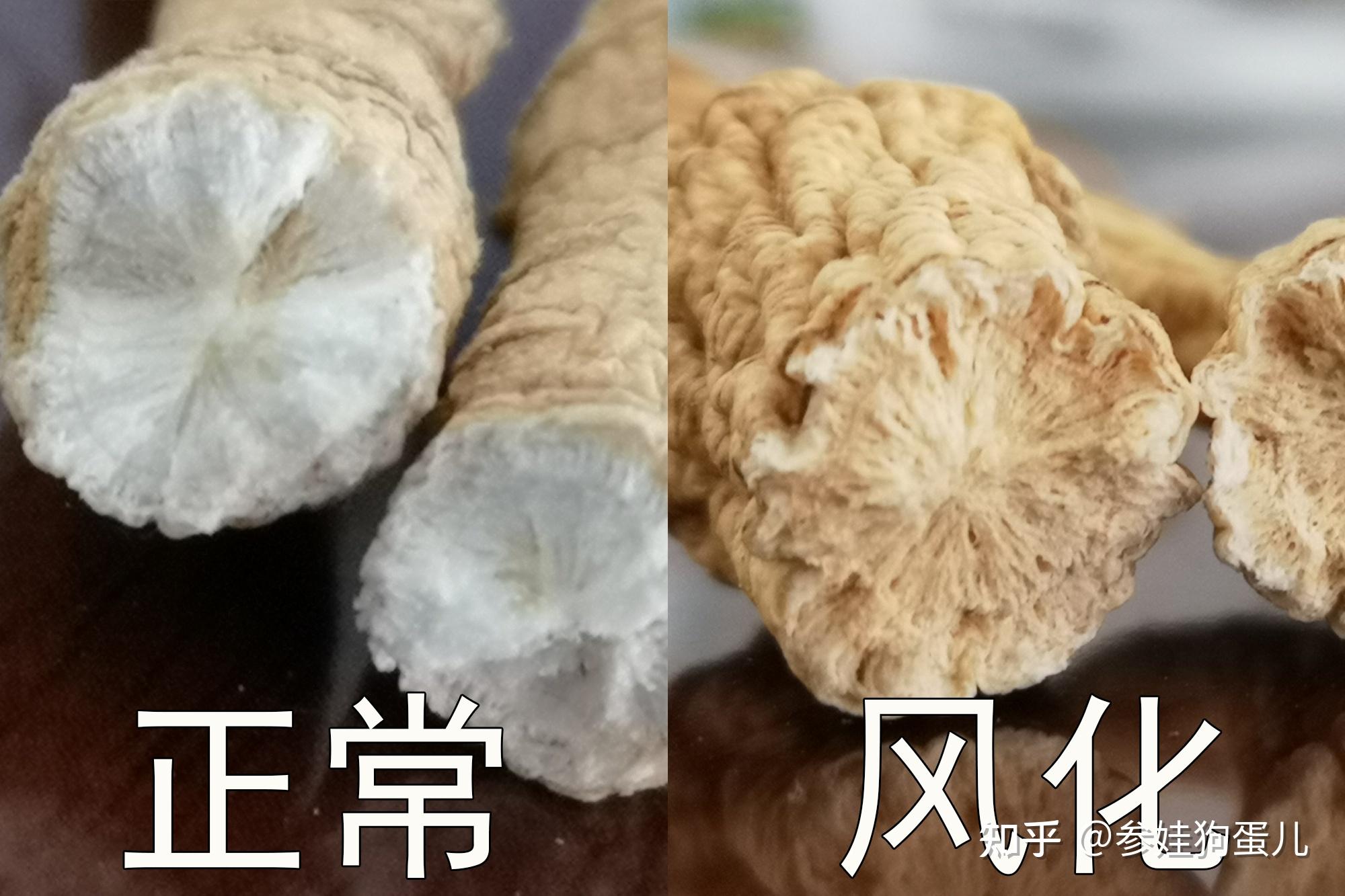 人参保存不好,就易生虫出现白色粉状,变质,过期风化,须注意!