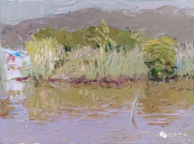 问者苏扬条件色观察法下色彩写生的种种疑惑