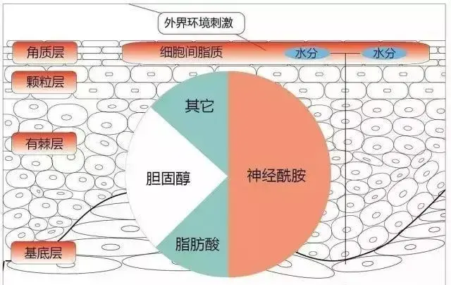 面膜的真正作用只有這兩個