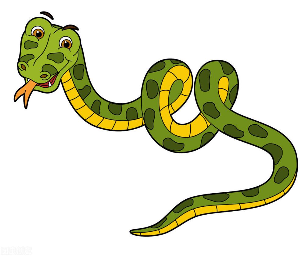 极具攻击性的动物黑曼巴蛇到底有多可怕