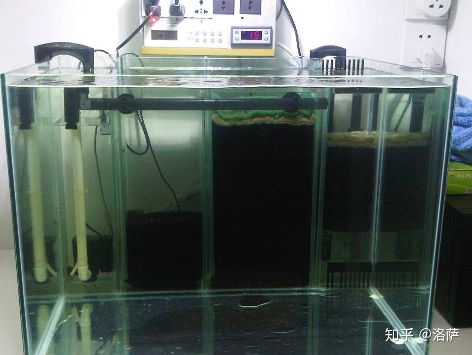 鱼缸侧滤(背滤)好用吗?优缺点是什么?