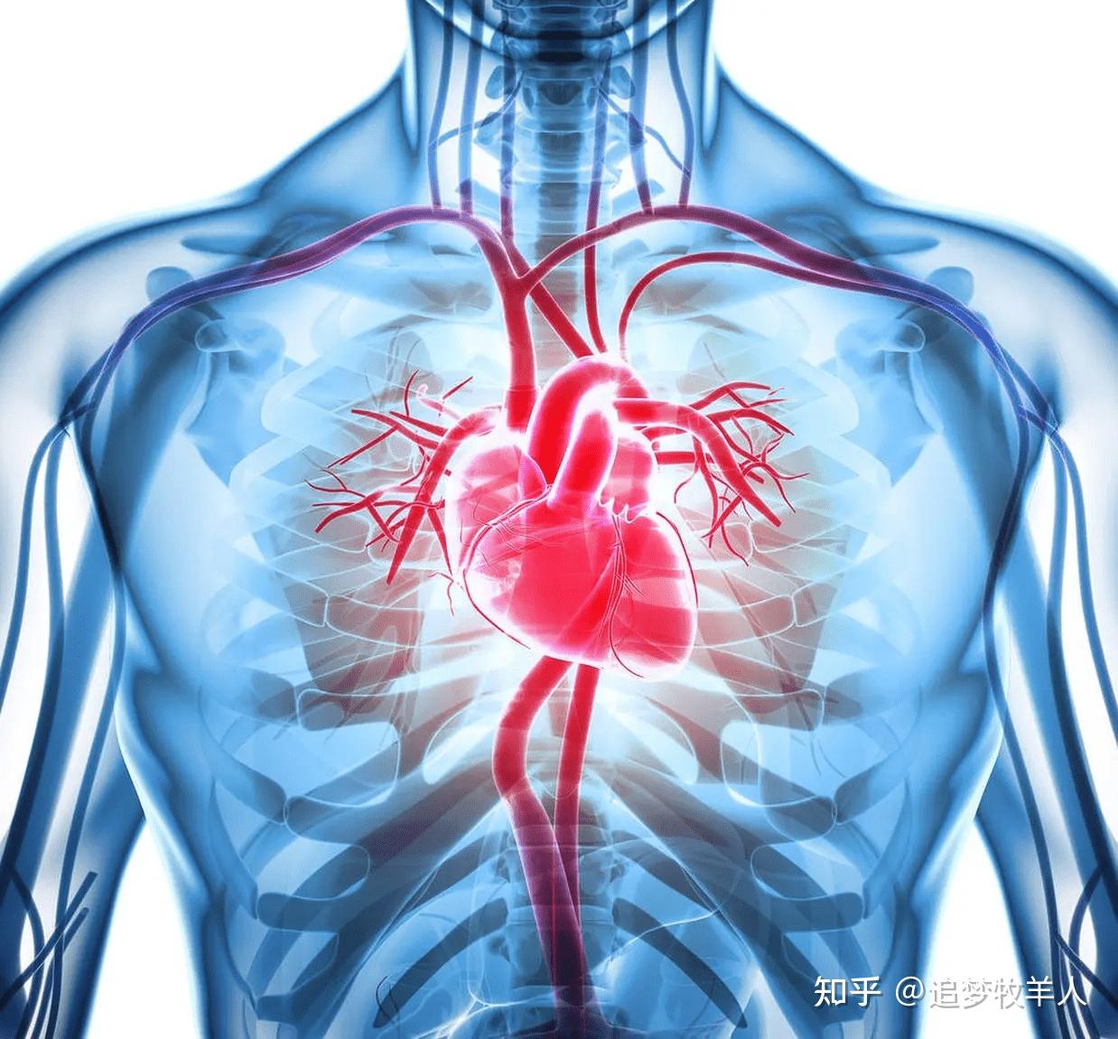 李晋新教授认清心肌病的四个注意事项