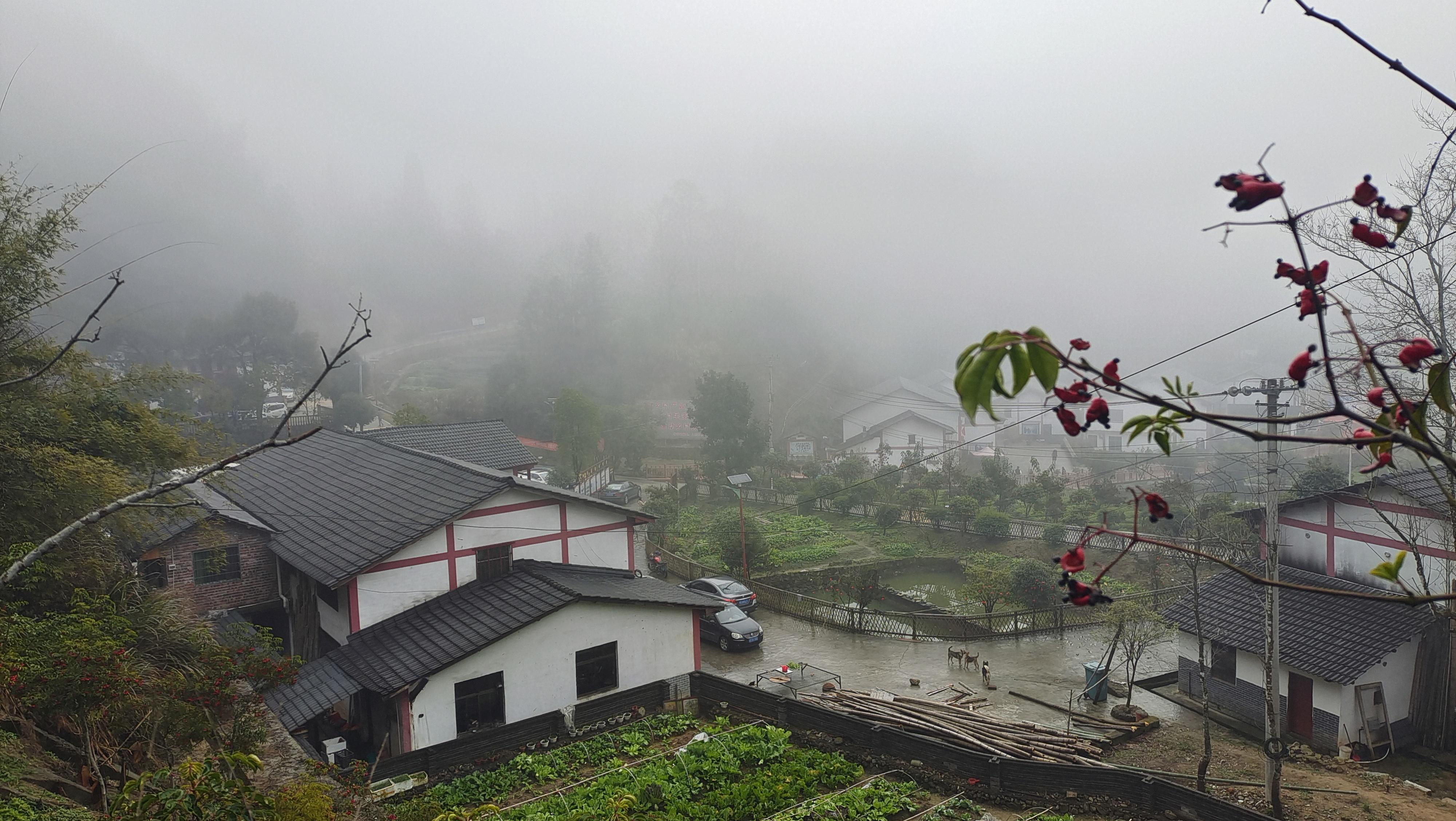 美丽吉安之乡村风光走进井冈山市茅坪镇神山村