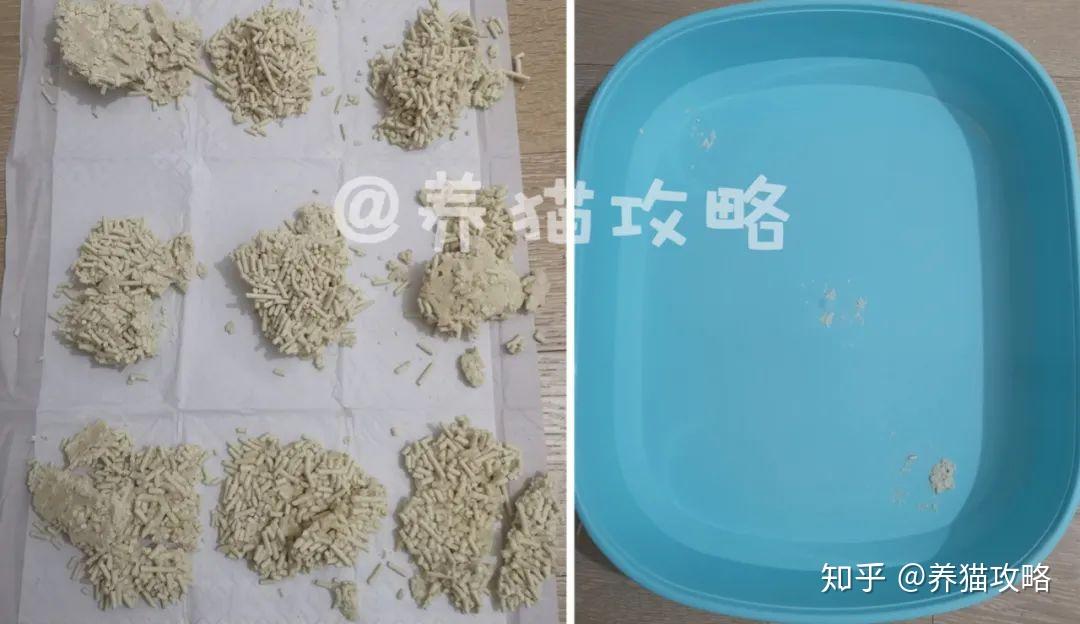 不易带砂的猫砂 v2-5c3a19439e60ea2f9683746107900ed5_r.jpg
