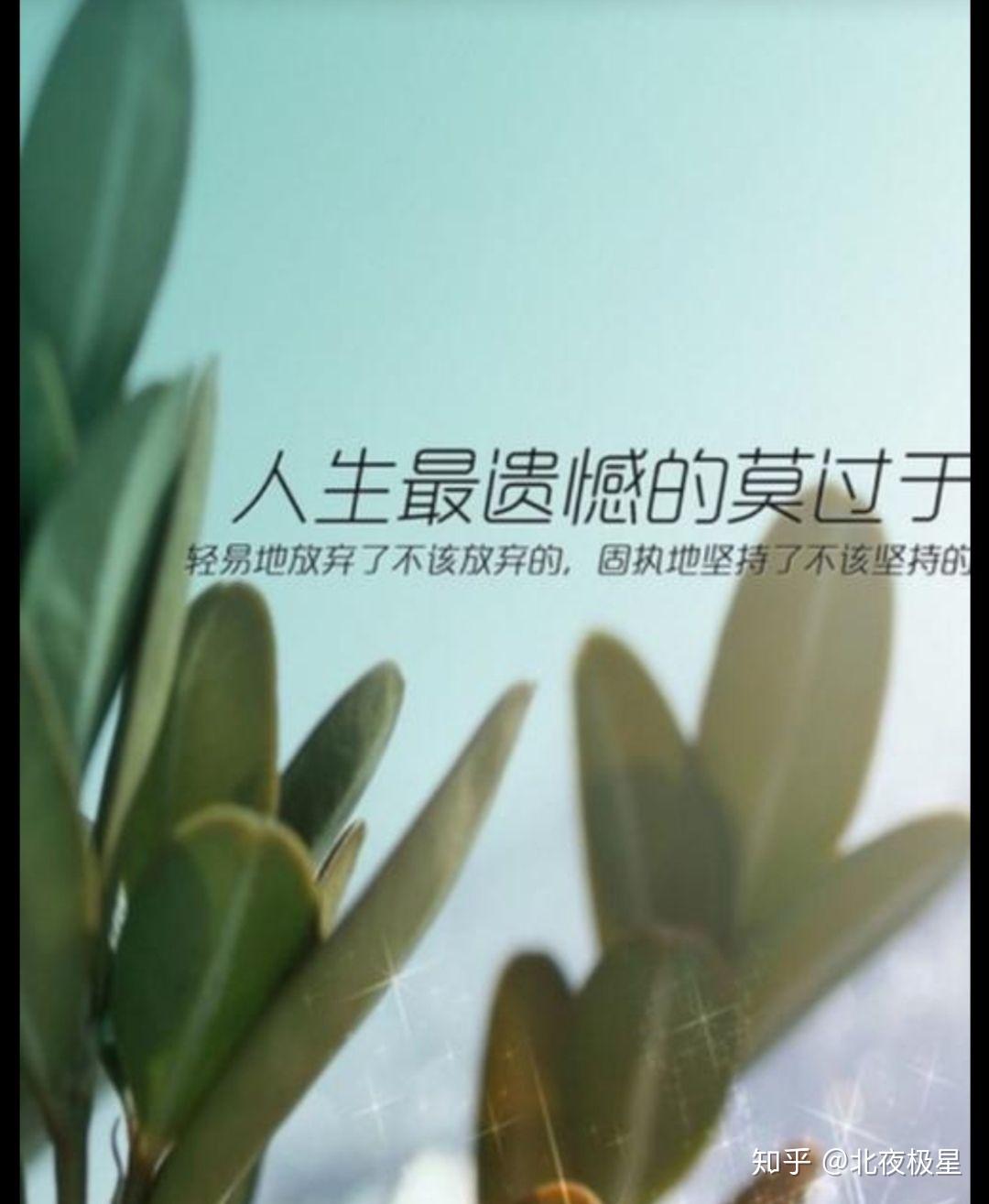 世俗面前爱情终究是镜花水月