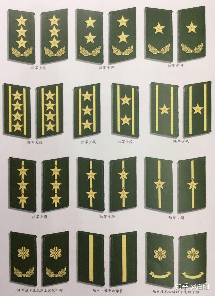 陆军训练服上的领章图片