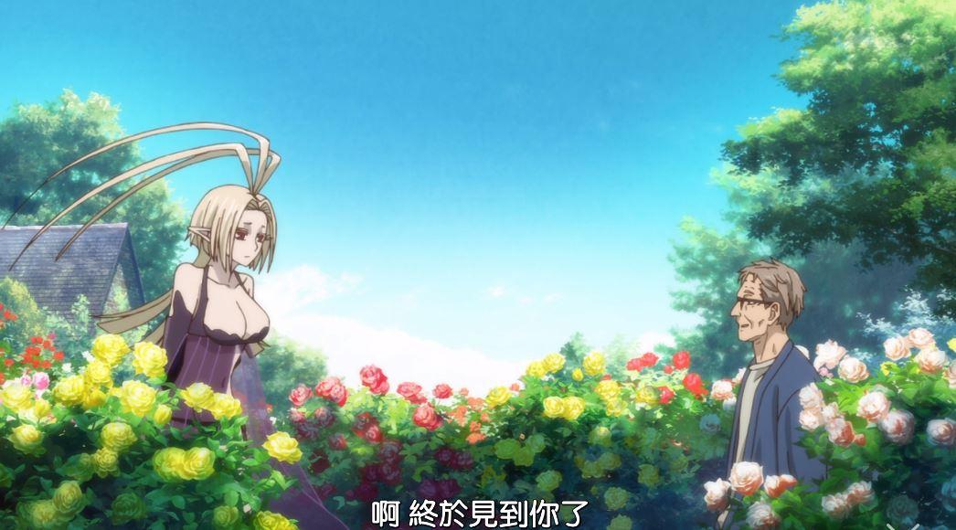 我同意这对师生恋魔法使的新娘完结有感