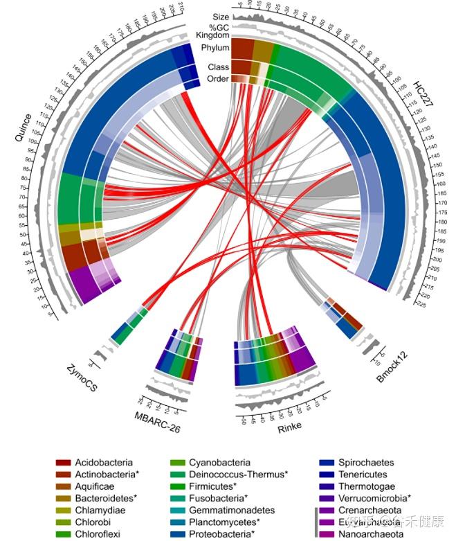 宏基因组组装质量评估新方法magista