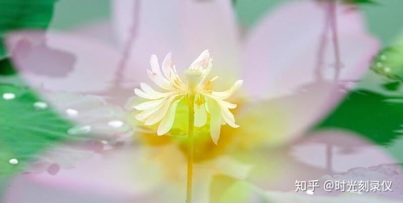 真真假假虚虚实实