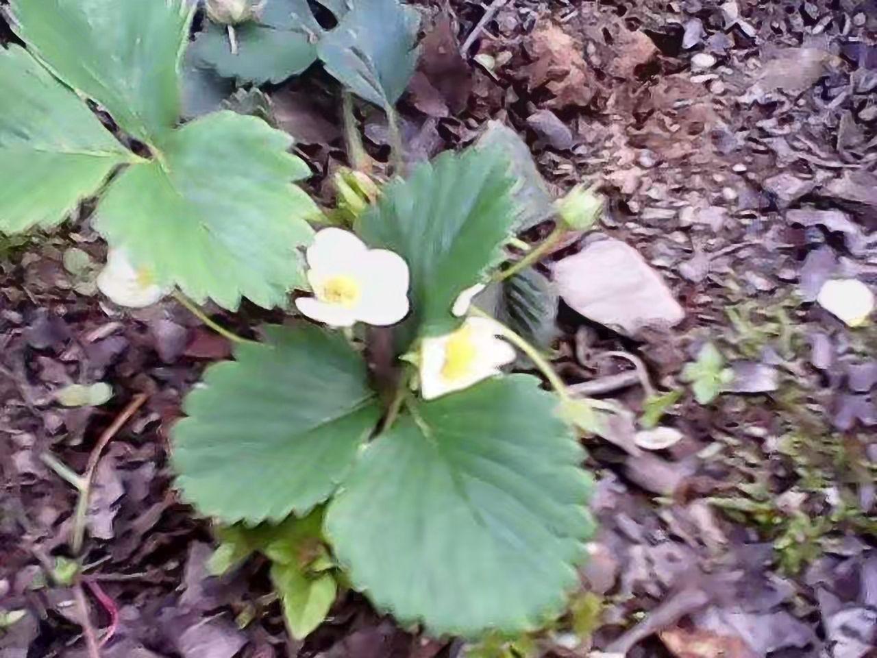 为什么穷人家的孩子会自卑?