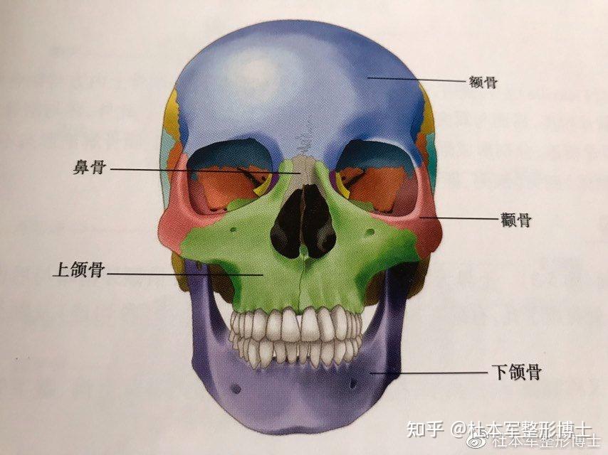 下颌角磨骨手术过程分几步?一分钟带你了解