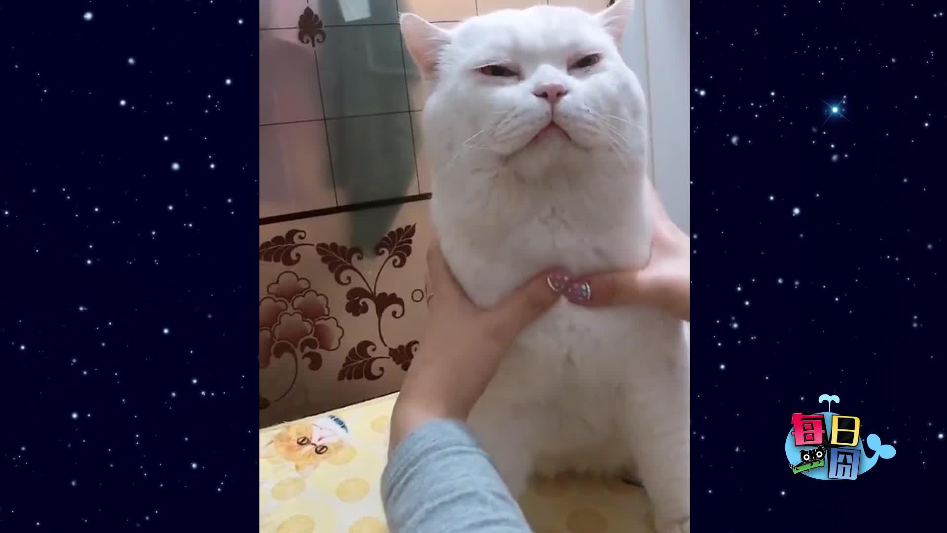 每日一囧一个人怎么拍情侣照真搂了个寂寞