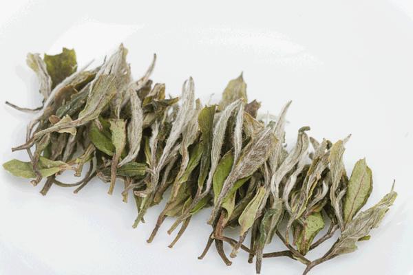 尚茶带你了解一杯好白茶的标准