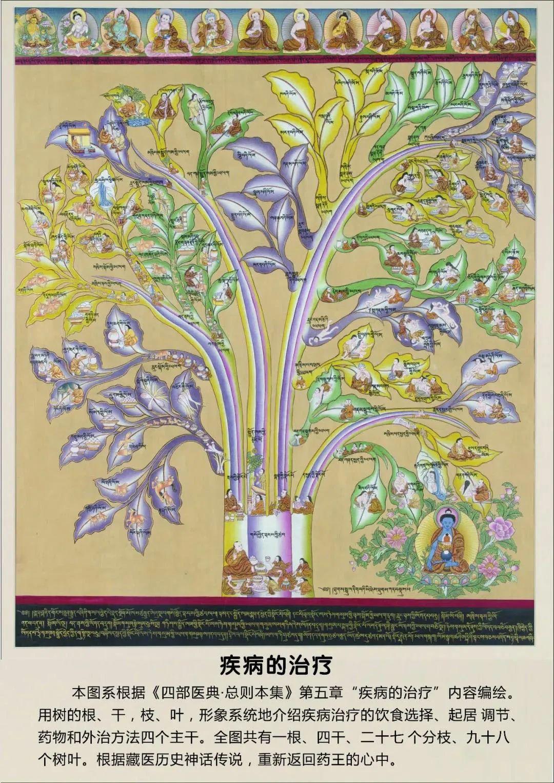 藏医鼻祖图片