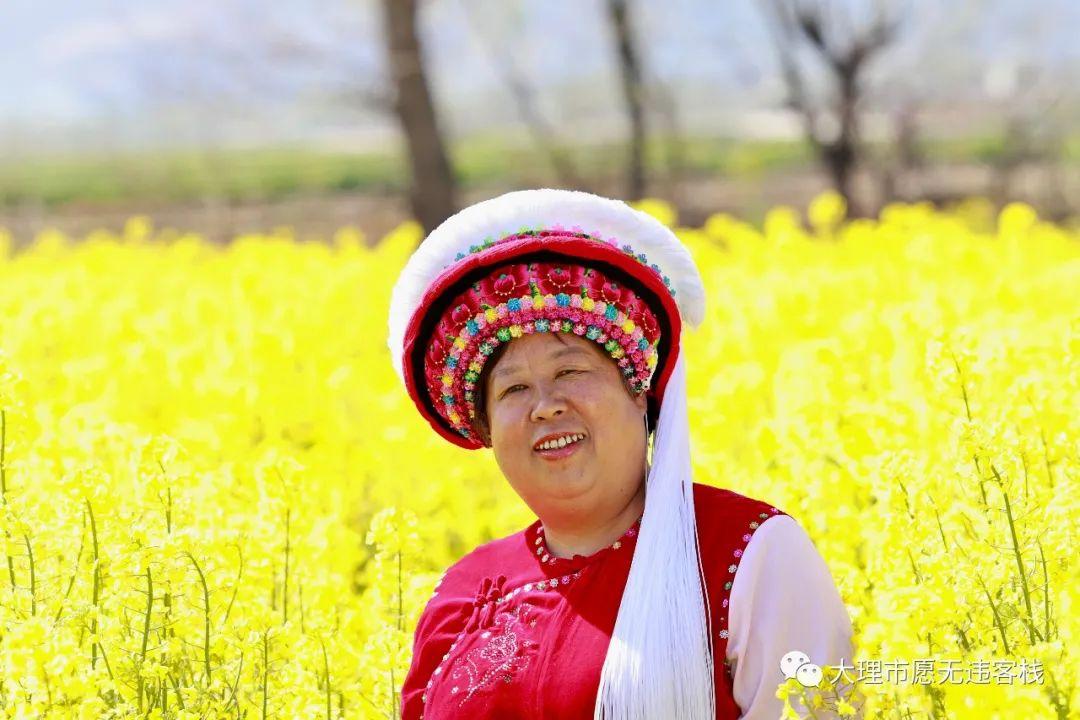 大理凤羽油菜花开了白族金花姐姐更加漂亮了