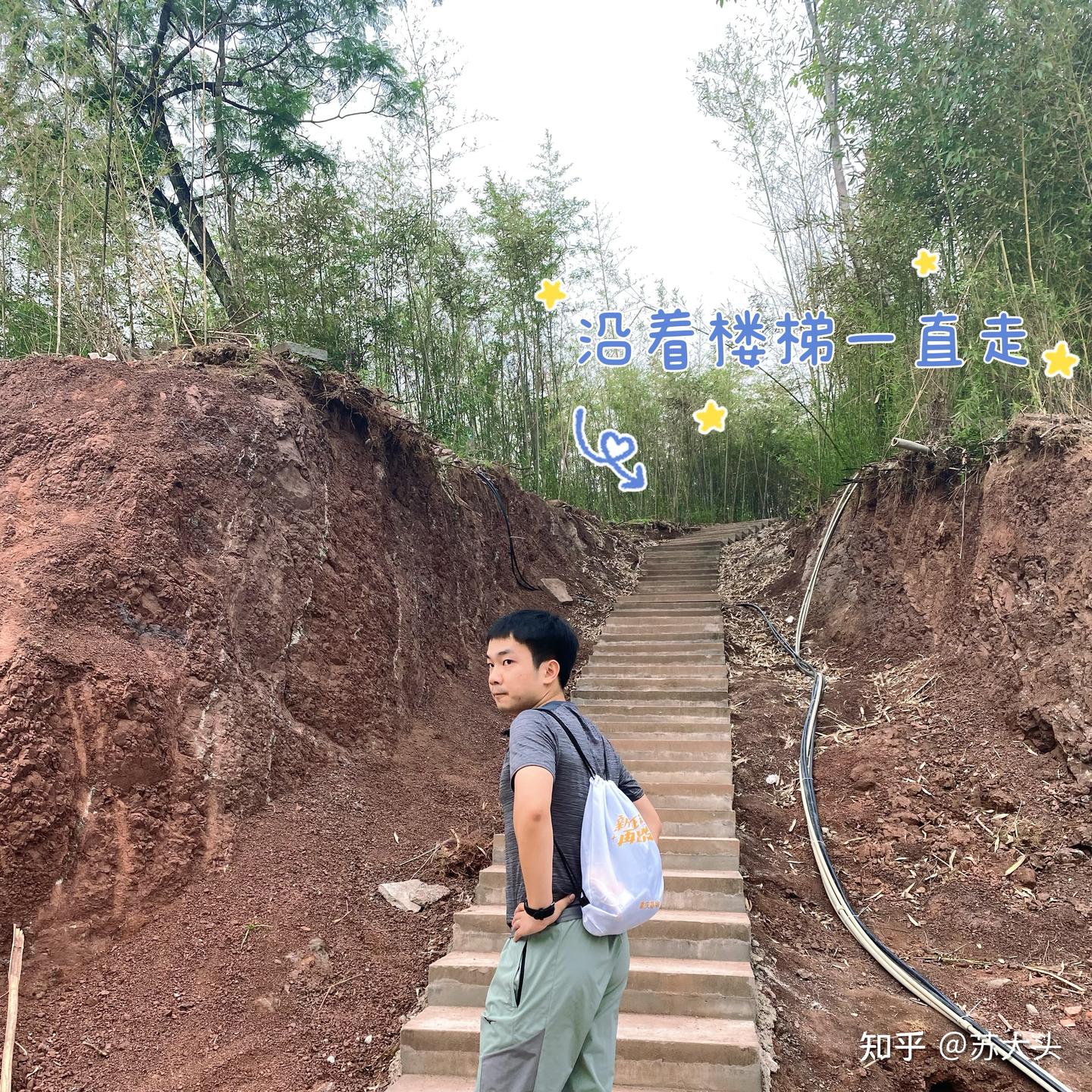 重庆徒步爬山圣地：缙云山免门票上山详细路线指引 - 知乎
