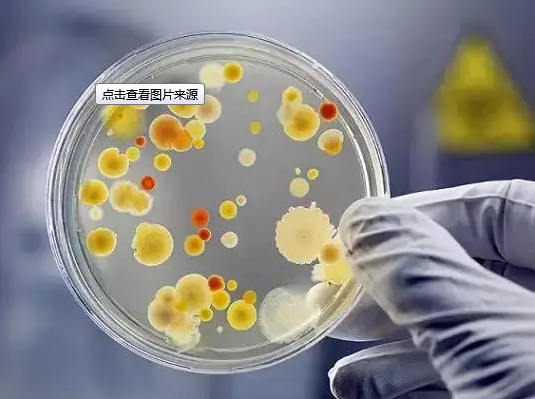 微生物实验中的CFU是什么意思? - 知乎