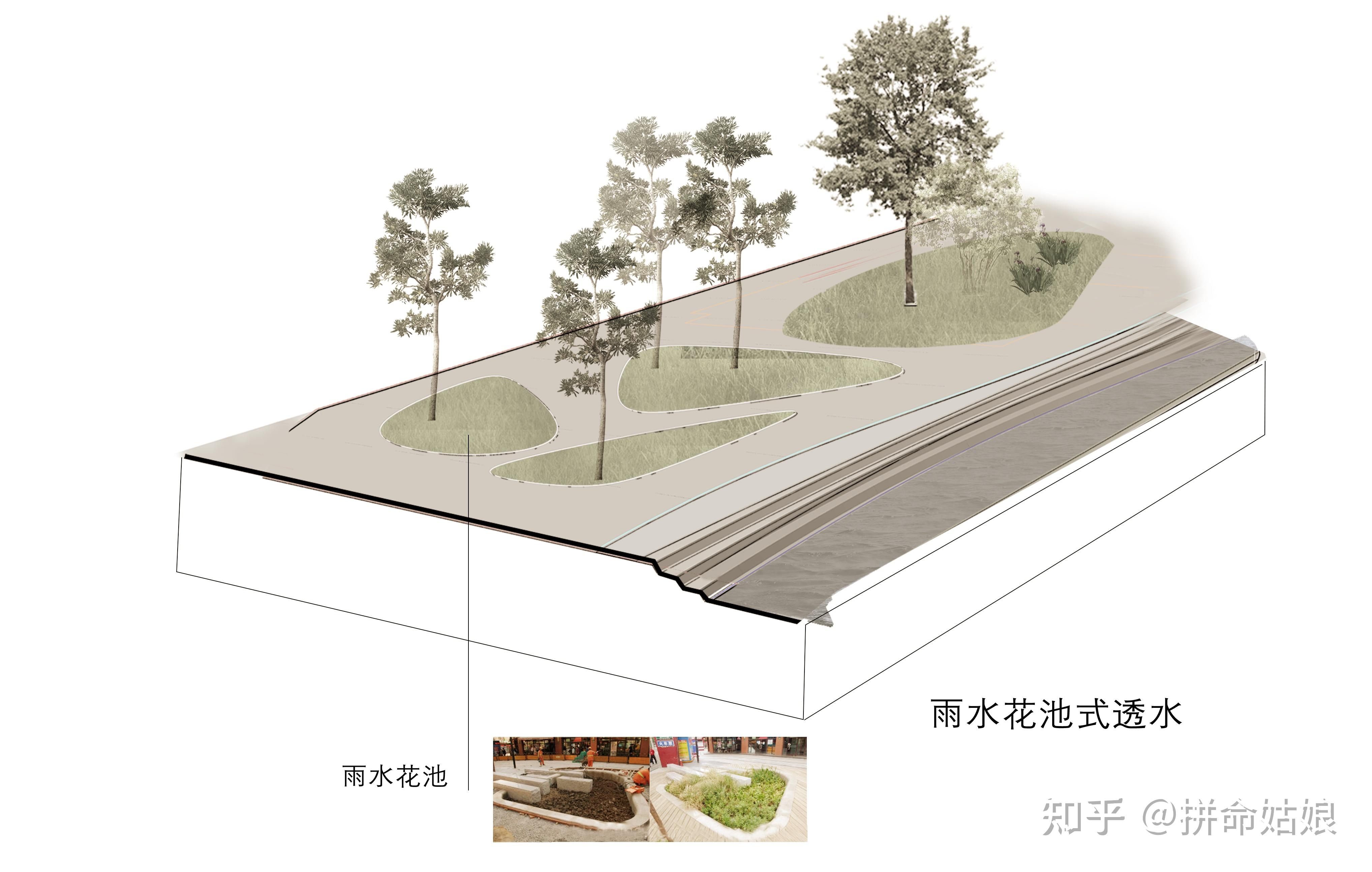 【 软件】:设计篇-ps·剖面图素材01-ps·高级竞赛风滨水海岸剖面分层