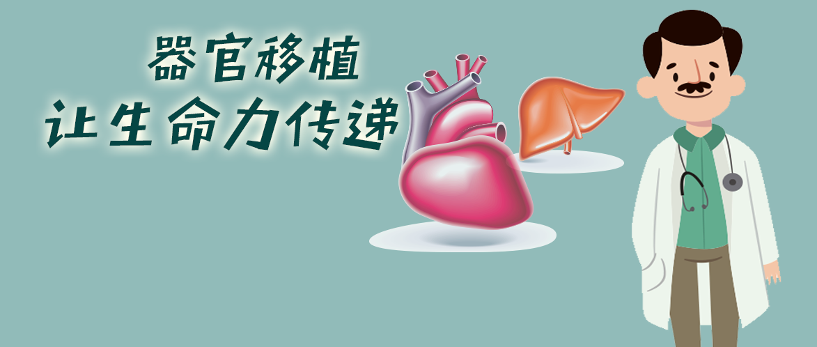 什么情况下可以进行肝移植一文读懂对肝移植的困惑