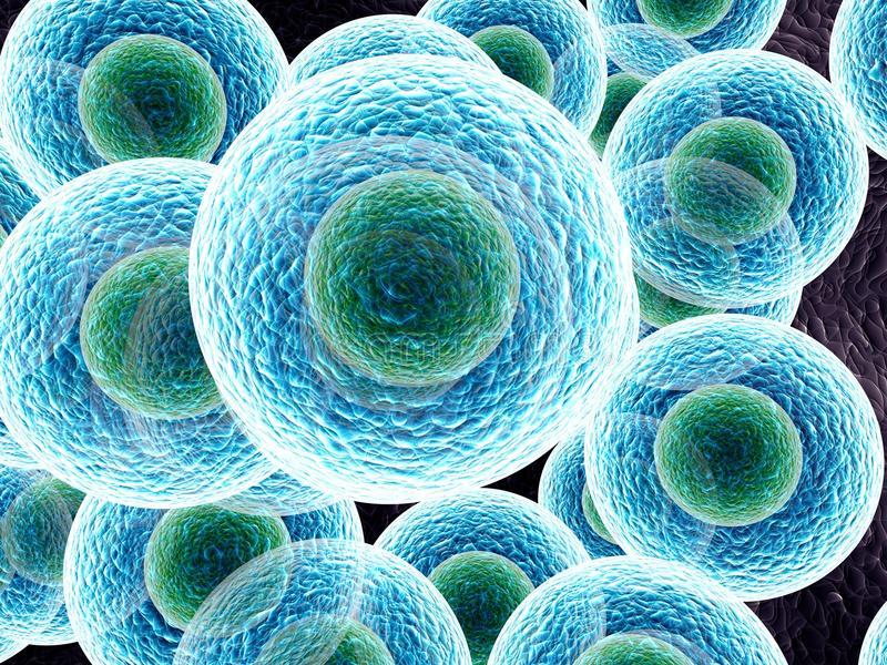 生物实验室细胞培养实验技术1