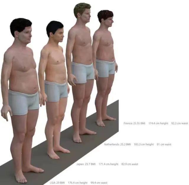 如果以美国、日本、荷兰、法国为代表，一个位于平均水平的男性身体长下面这样，他们的平均BMI值分别是29、23.7、25.2、25.55