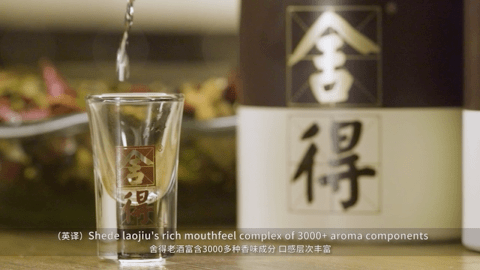 片名