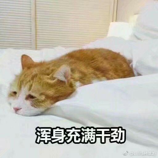 文科生可以考名校的书法专业?