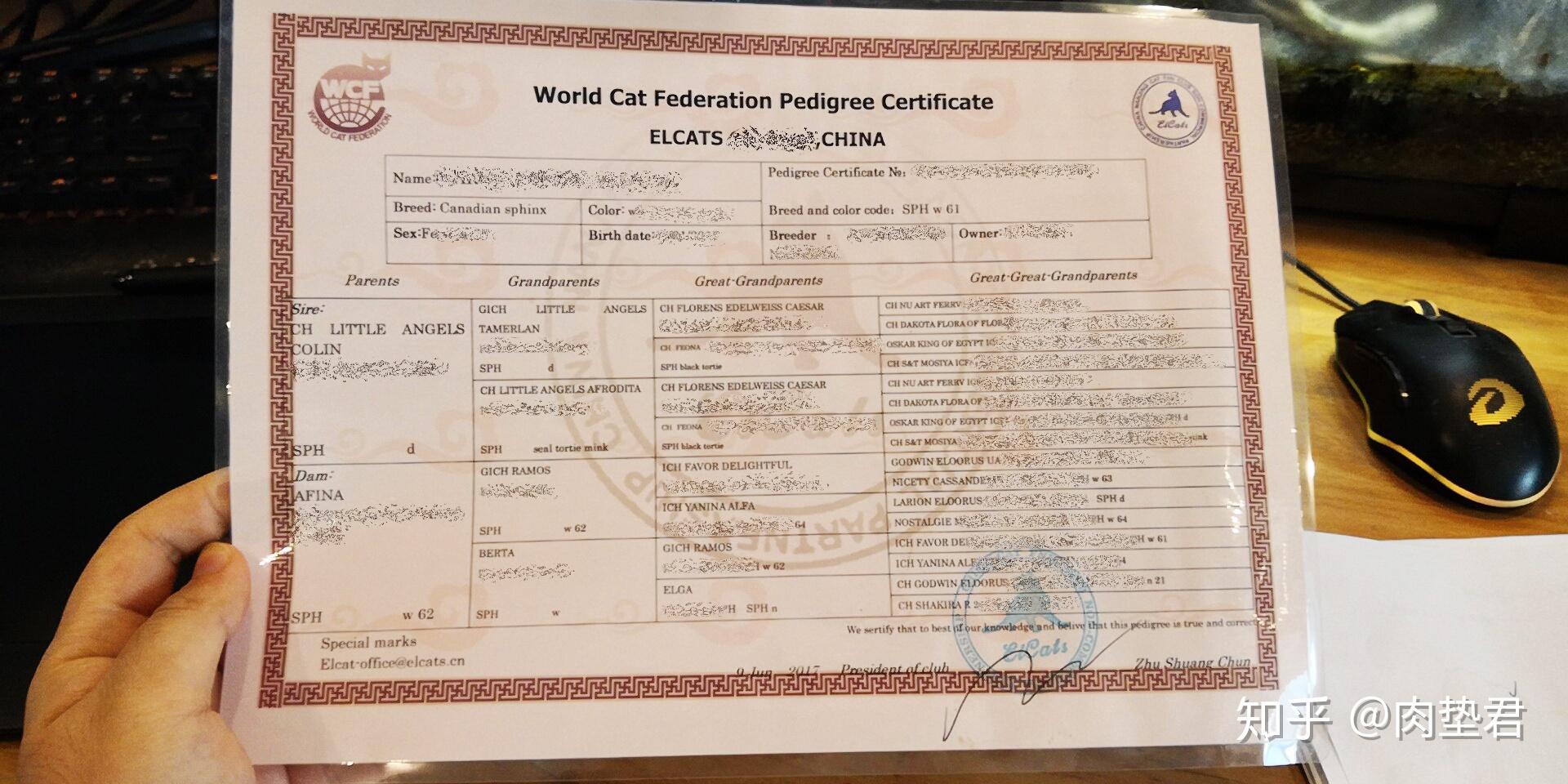 我们以wcf为例,肉垫君拿出一些证书来举例:(其中关键信息已打码)同一