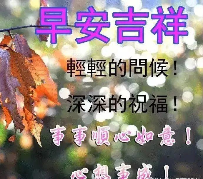 八月节早上好图片图片