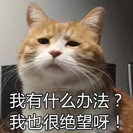 光动力治疗痤疮的效果好吗?