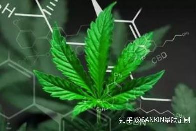 cos化妆吧白菜又质量好的妆品_最健康的化妆品_聚美优品化妆品是正品吗