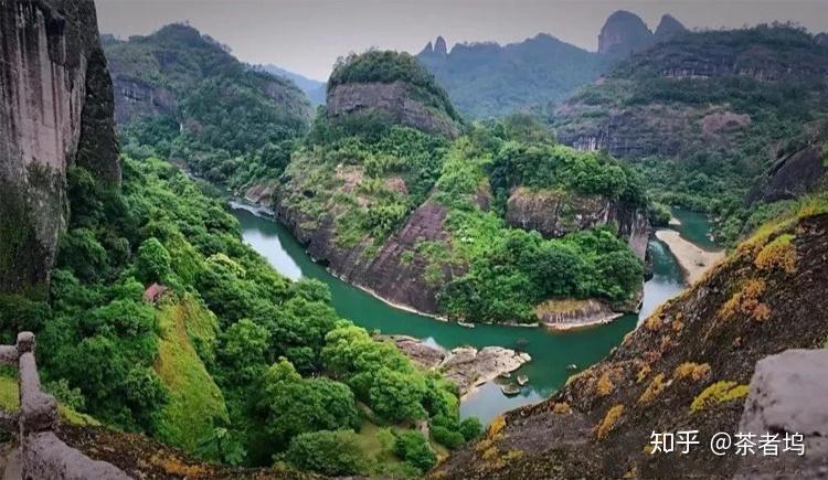 详解岩茶为何叫岩茶武夷山的三坑两涧一窠36峰72洞99岩分别指哪些地方
