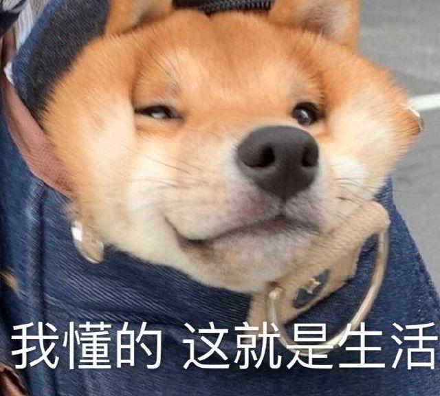 沙雕文案很热,沙雕文案段子