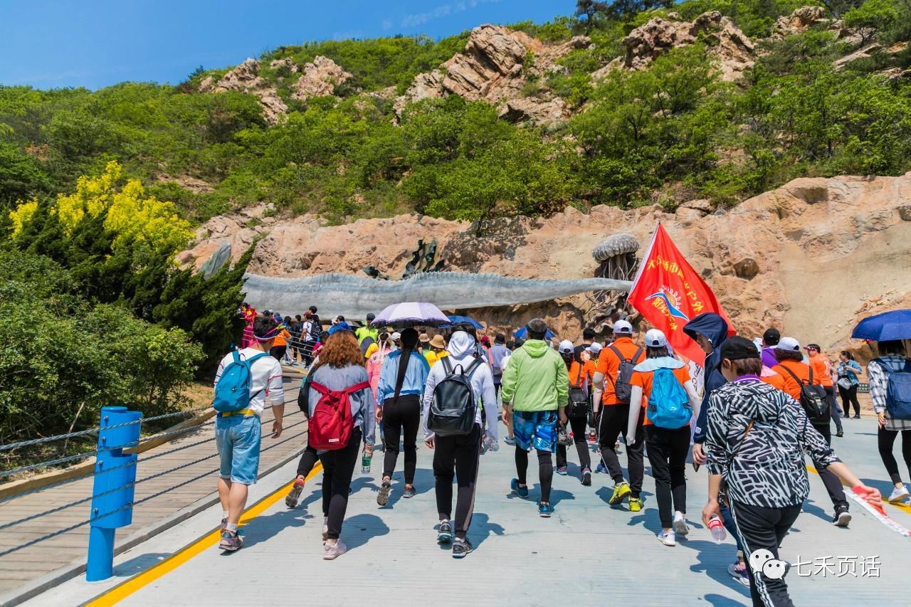 大连今年的徒步大会你参加了吗