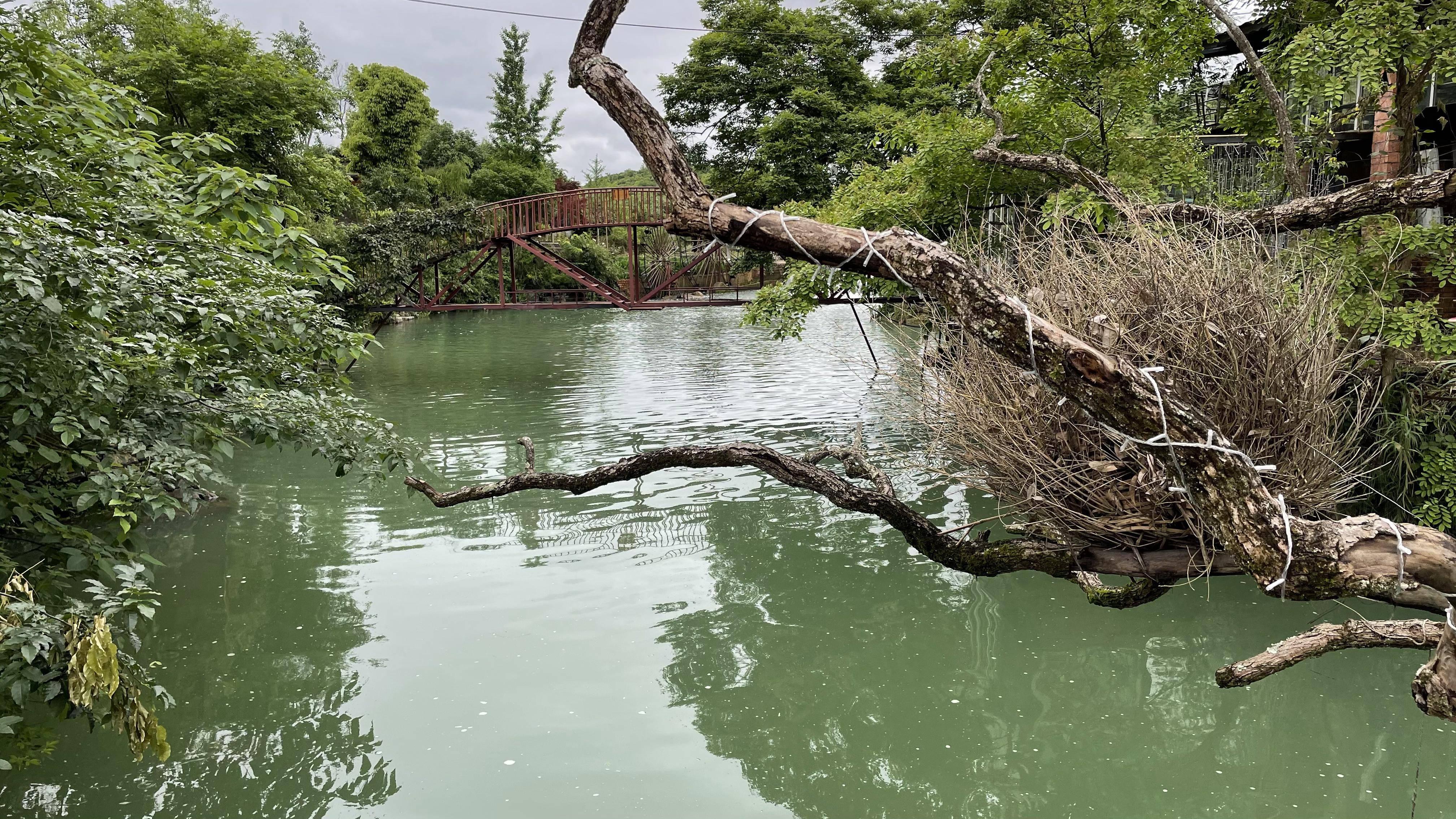 桂林莲溪庐度假村图片