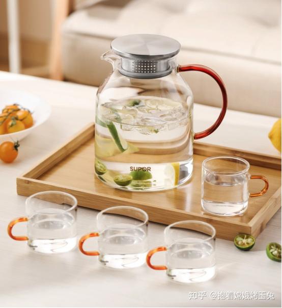 2022冷水壶推荐丨冷水壶怎么用冷水壶如何挑选材质冷水壶什么牌子好