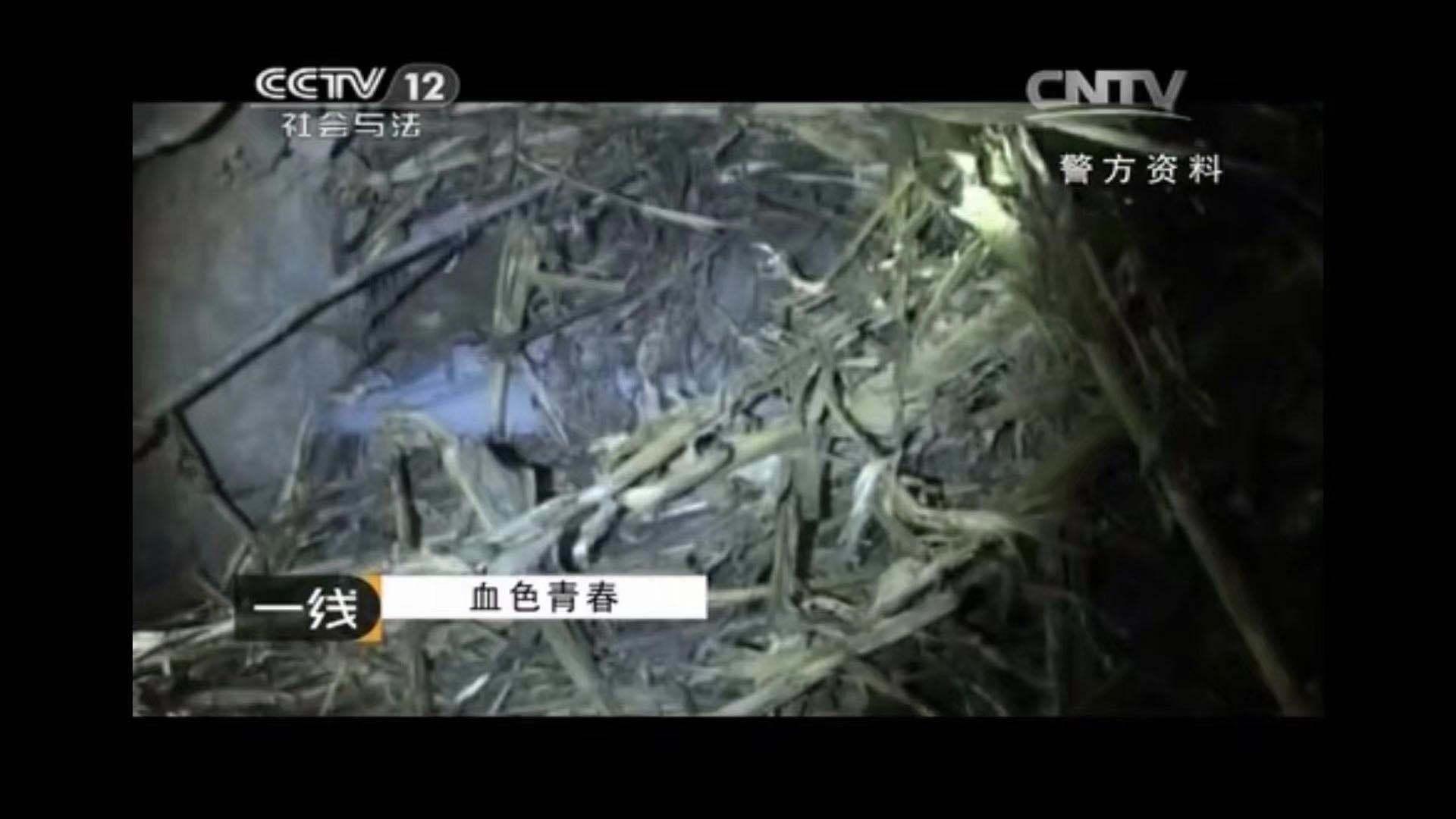 消失的夫妻残忍细节是什么? - 知乎