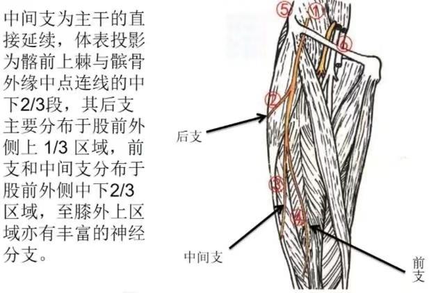 知乎