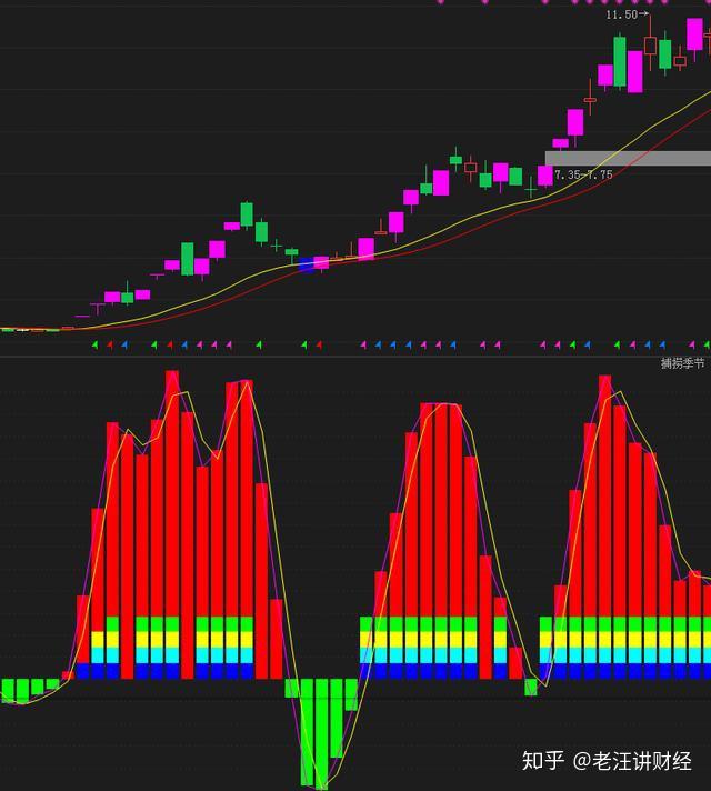 "黑太阳高飞"形态