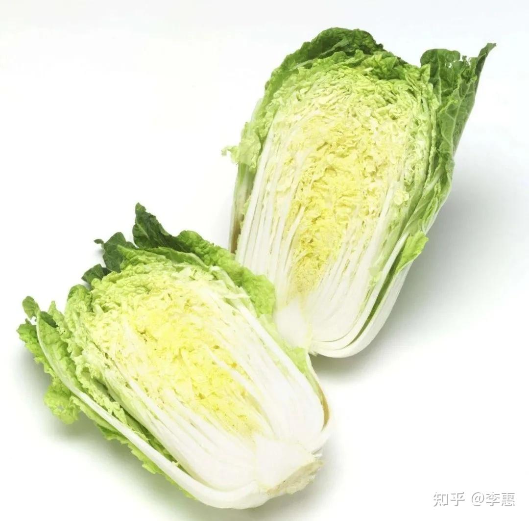 白菜根茎叶结构图-图库-五毛网