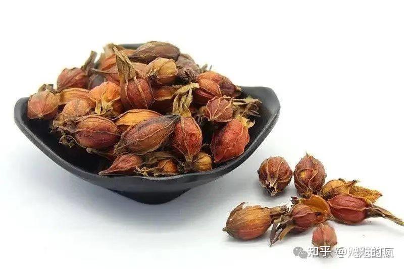 认识一味中草药 --栀子 - 知乎