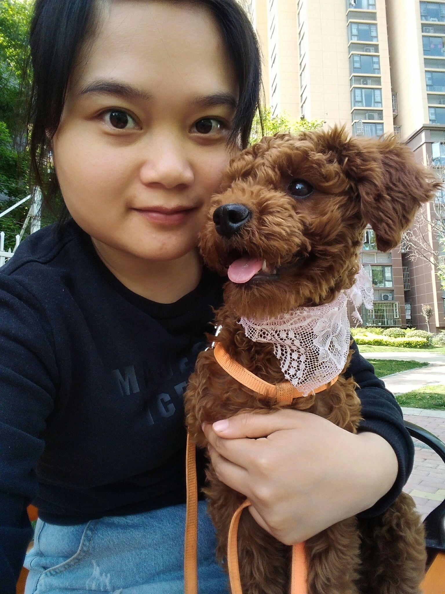 哈希娱乐- 哈希游戏平台- 哈希游戏官方网站市政府办公室关于印发宿迁市支持宠物产业集群全链式发展若干政策措施的通知