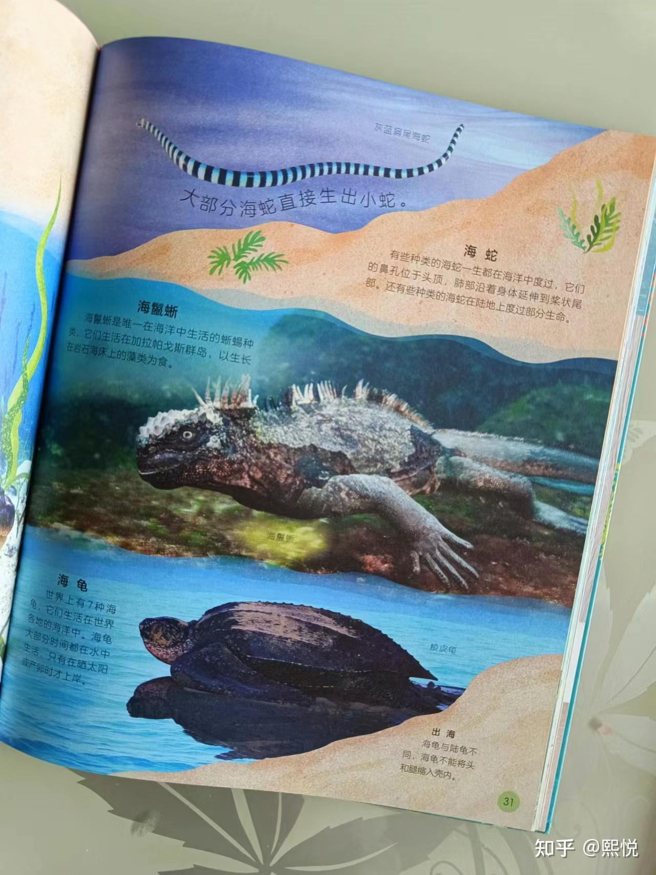 一本经典绘本,带你走进不可思议的海洋世界